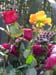Abschied153