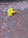 Abschied163